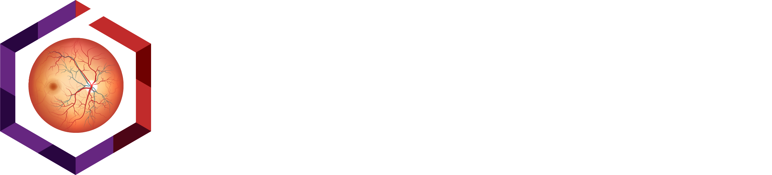 HW240226 2nd Retinal Imaging Biomarkers & Endpoints Summit 2024 logo W (1)