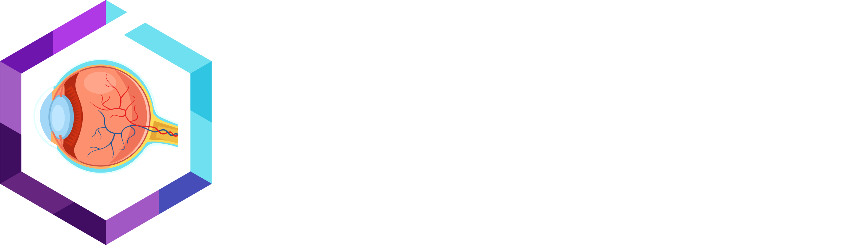 HW240917 54591 3rd Ophthalmic Delivery Summit logo W